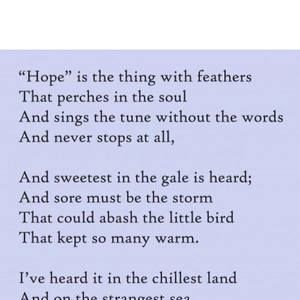 Meet your Posher, Nathan